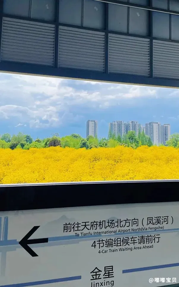 如何在杯赛中获得更好的训练和发展机会_1